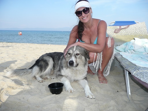 Sarti